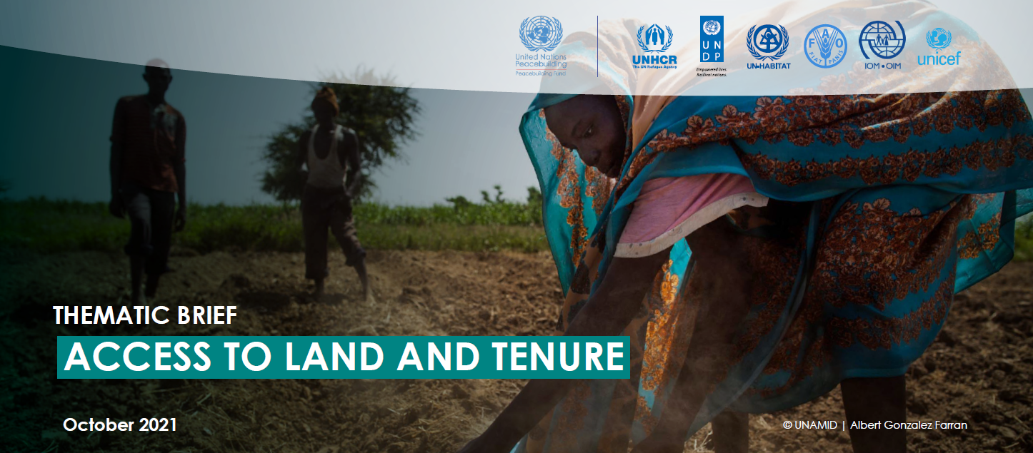 THEMATIC BRIEF - ACCESS TO LAND AND TENURE 
