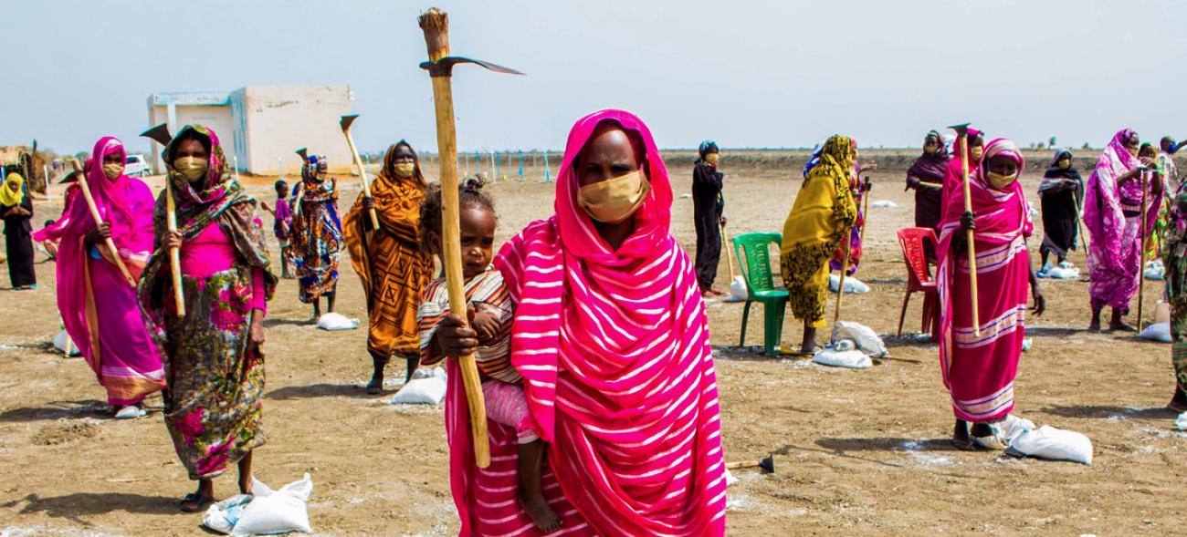 UNDP is supporting Sudanese farmers whose incomes and crop yields have been impacted by COVID-19 lockdowns