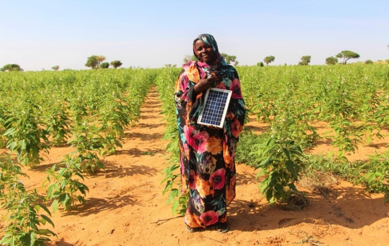 In Darfur, women farmers tackle a rapidly changing climate