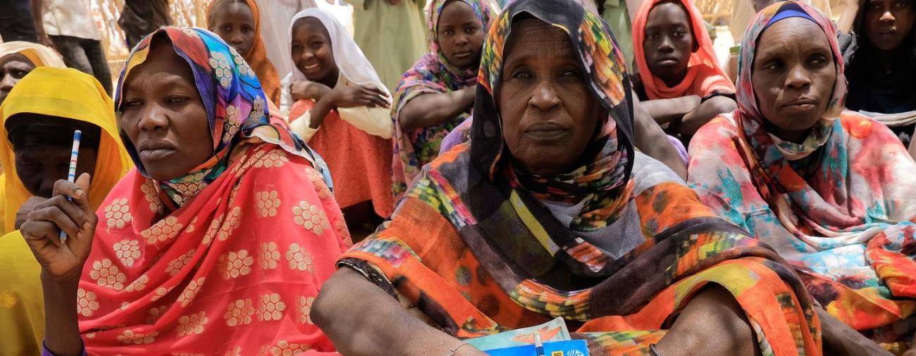 Strengthening Sudan’s fragile peace | United Nations in Sudan