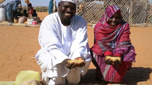 Building resilience and peace in resource-scarce Darfur