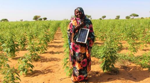 In Darfur, women farmers tackle a rapidly changing climate