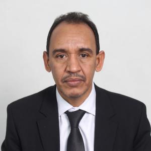 Mr. Mohamed Lemine Salem O Moujtaba
